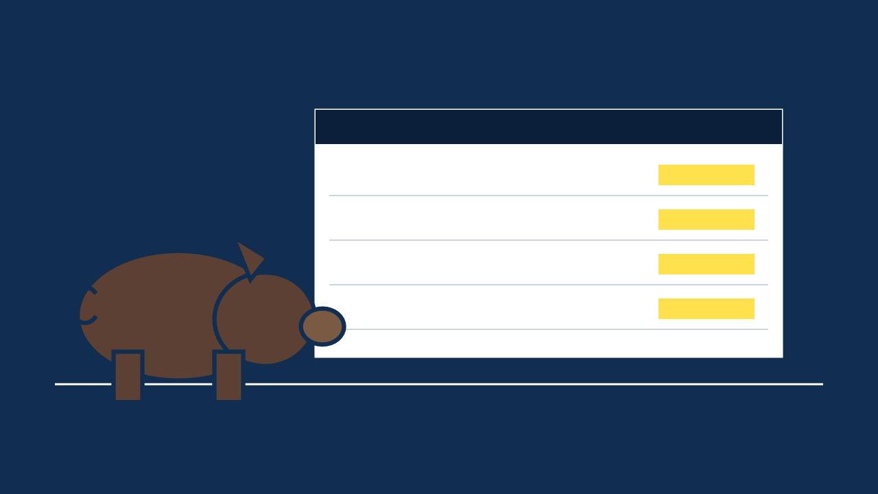 District Ledger Console Screen